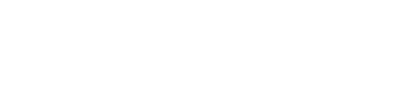 SoftLogic Studio Inc.